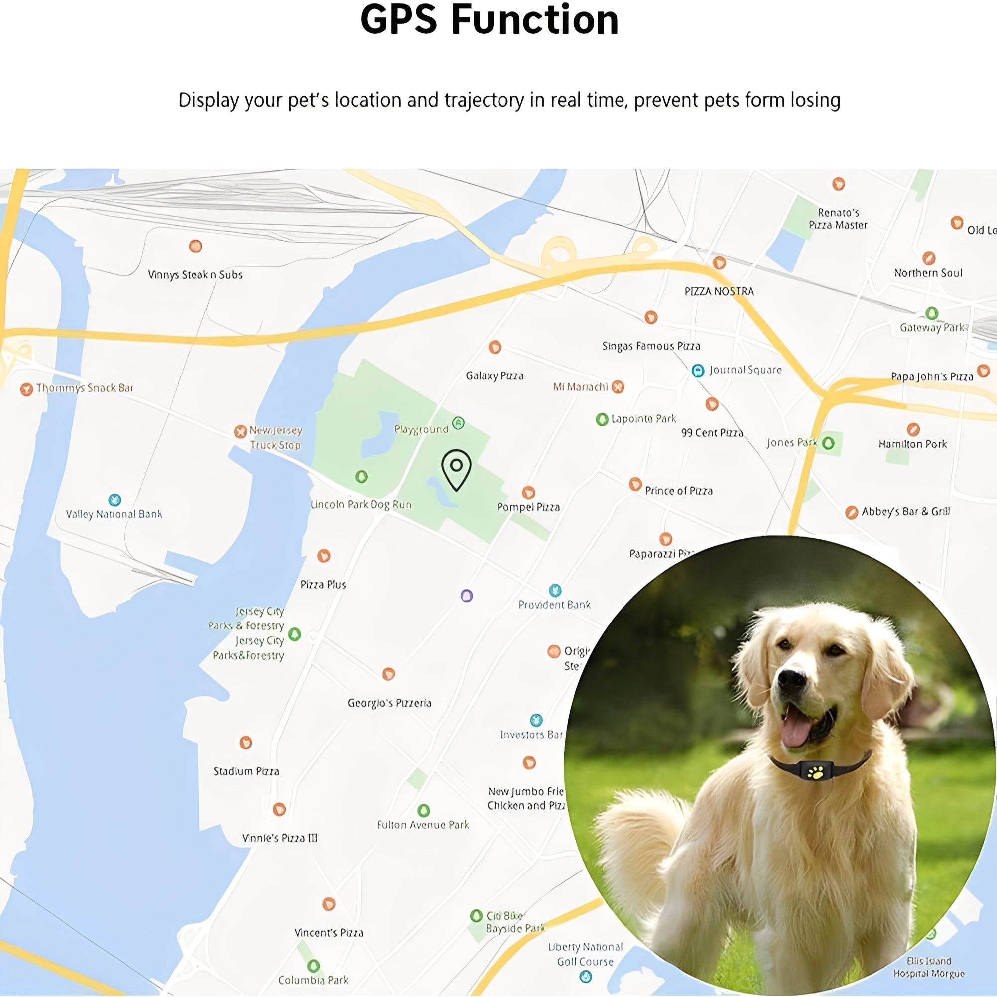 Smart GPS Pet Collar with Real-Time Location Tracking App & Adjustable Strap for Comfort
