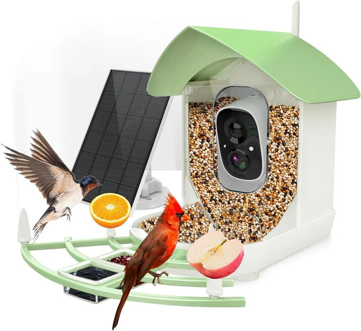 Smart Bird Feeder Camera with App Control, Night Vision & HD Video - Perfect for Bird Watching Enthusiasts