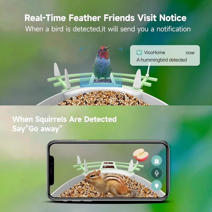 Smart Bird Feeder Camera with App Control, Night Vision & HD Video - Perfect for Bird Watching Enthusiasts