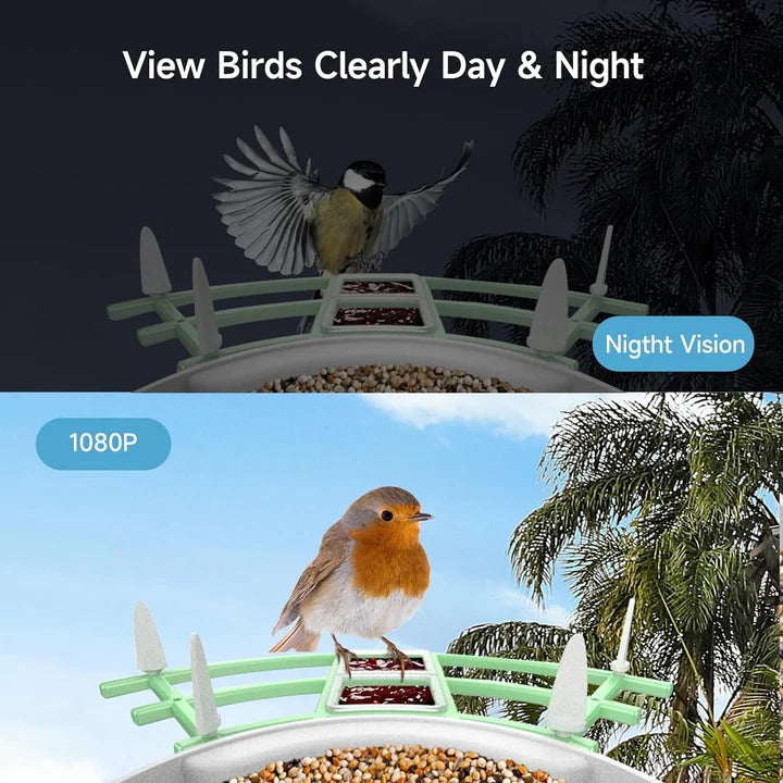 Smart Bird Feeder Camera with App Control, Night Vision & HD Video - Perfect for Bird Watching Enthusiasts