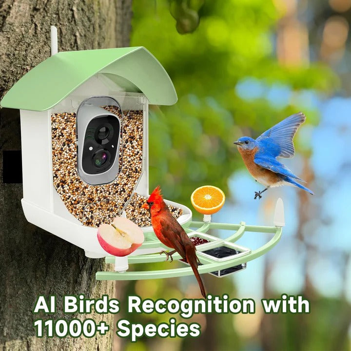Smart Bird Feeder Camera with App Control, Night Vision & HD Video - Perfect for Bird Watching Enthusiasts