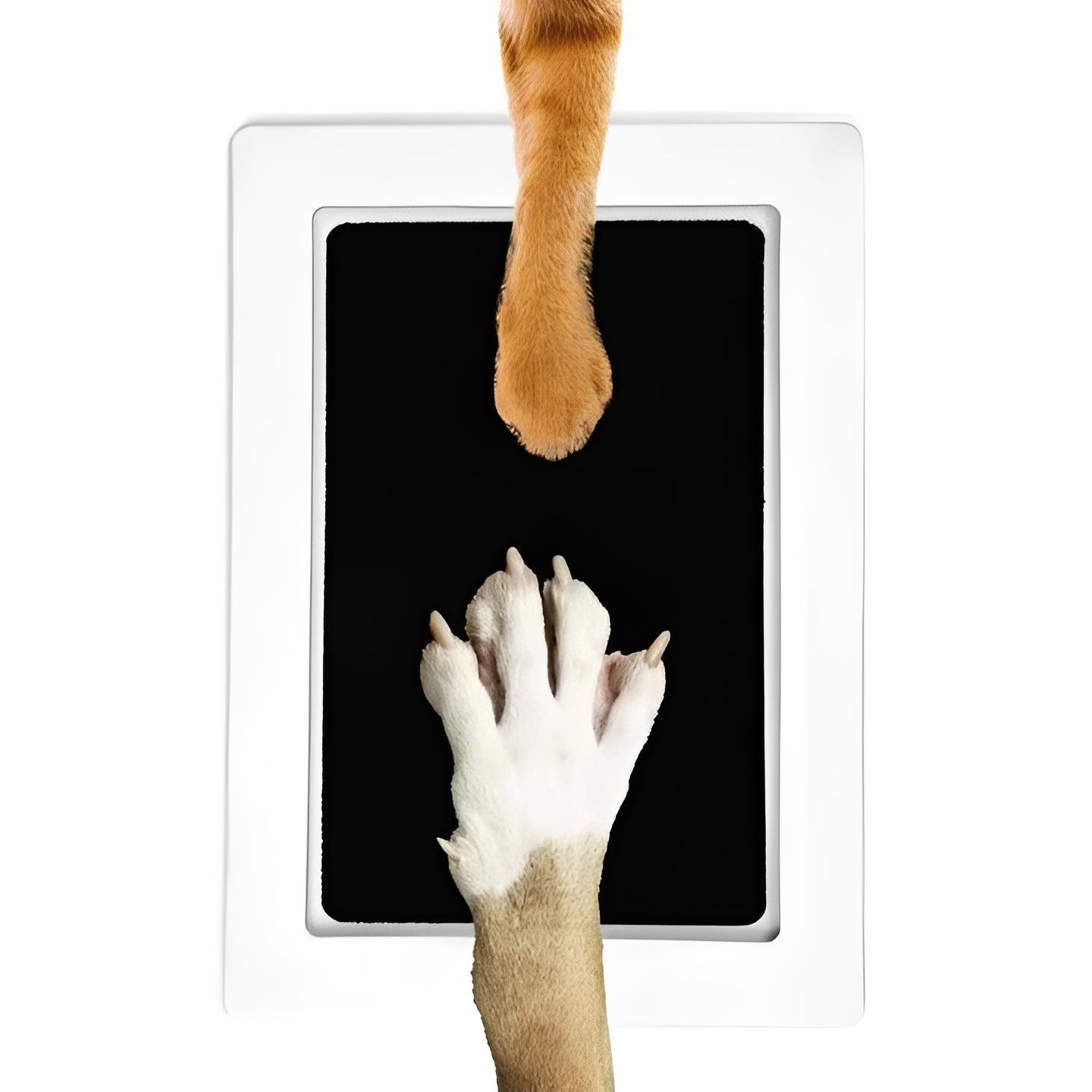Dog Paw Print Impression Kit - Create Lasting Memories with Easy-to-Use Pet Keepsake Kit