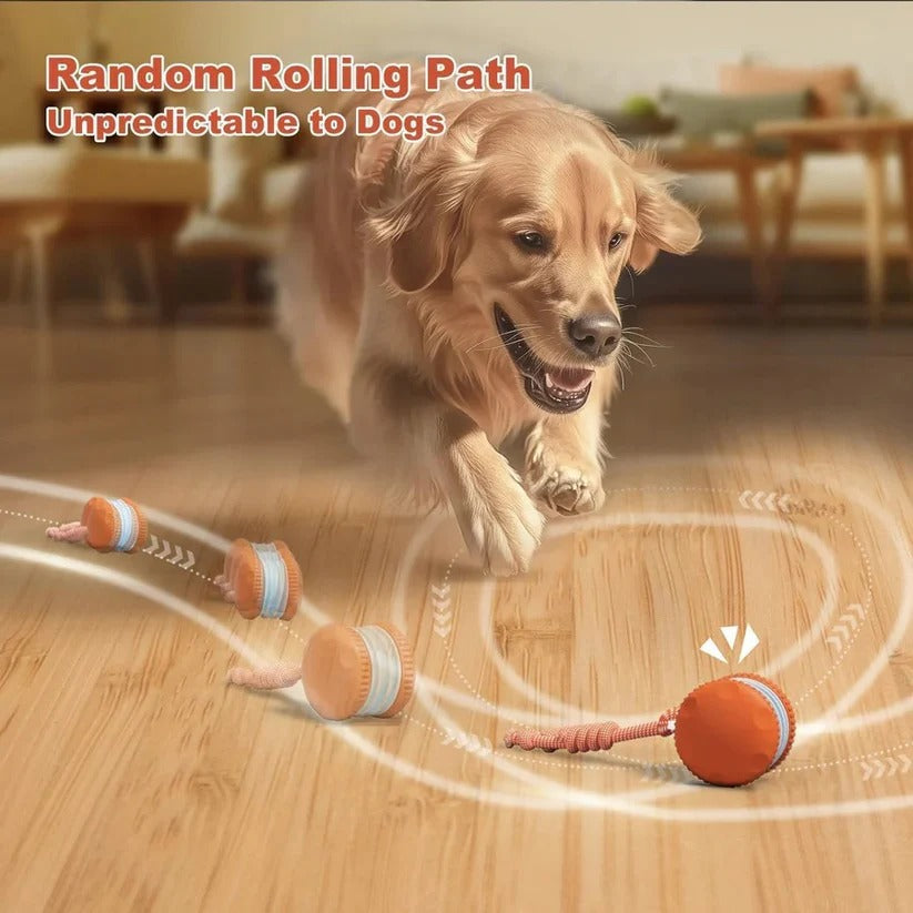 Automatic Rolling Ball Toy for Dogs - Interactive 2-Piece Set with Durable Rope for Fetch & Play