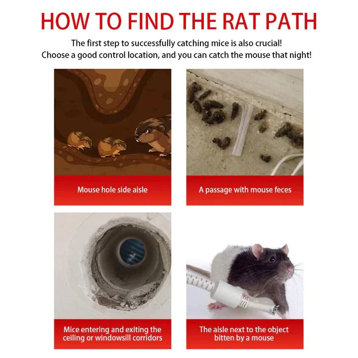 Reusable Sliding Door Rodent Cage with One-Way Entry - Humane Trap for Mice, Rats & Small Pests