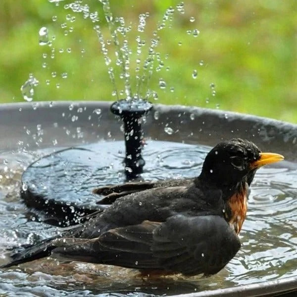 Solar-Powered Floating Water Fountain Pump for Ponds - Eco-Friendly, Energy Efficient, and Decorative Water Feature