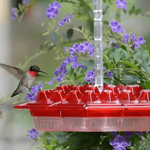 Ant-Proof Hanging Hummingbird Feeder with Moat - Durable, Easy to Clean, Ideal for Attracting Hummingbirds