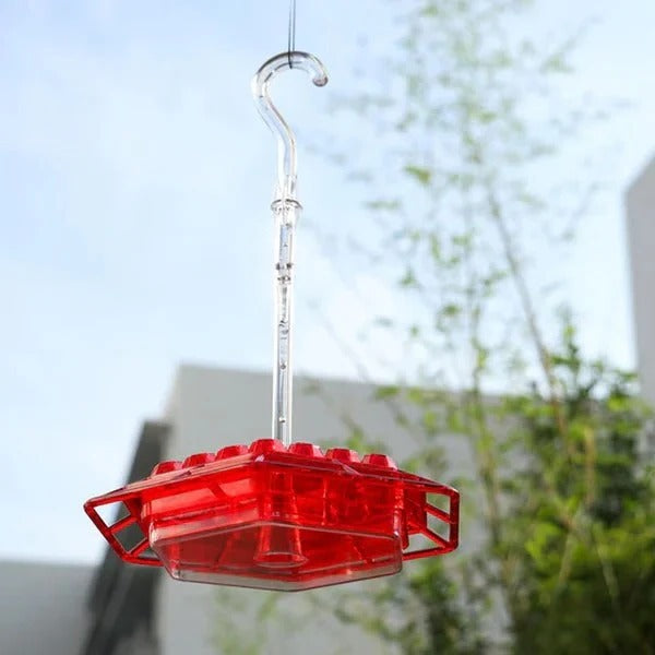 Ant-Proof Hanging Hummingbird Feeder with Moat - Durable, Easy to Clean, Ideal for Attracting Hummingbirds