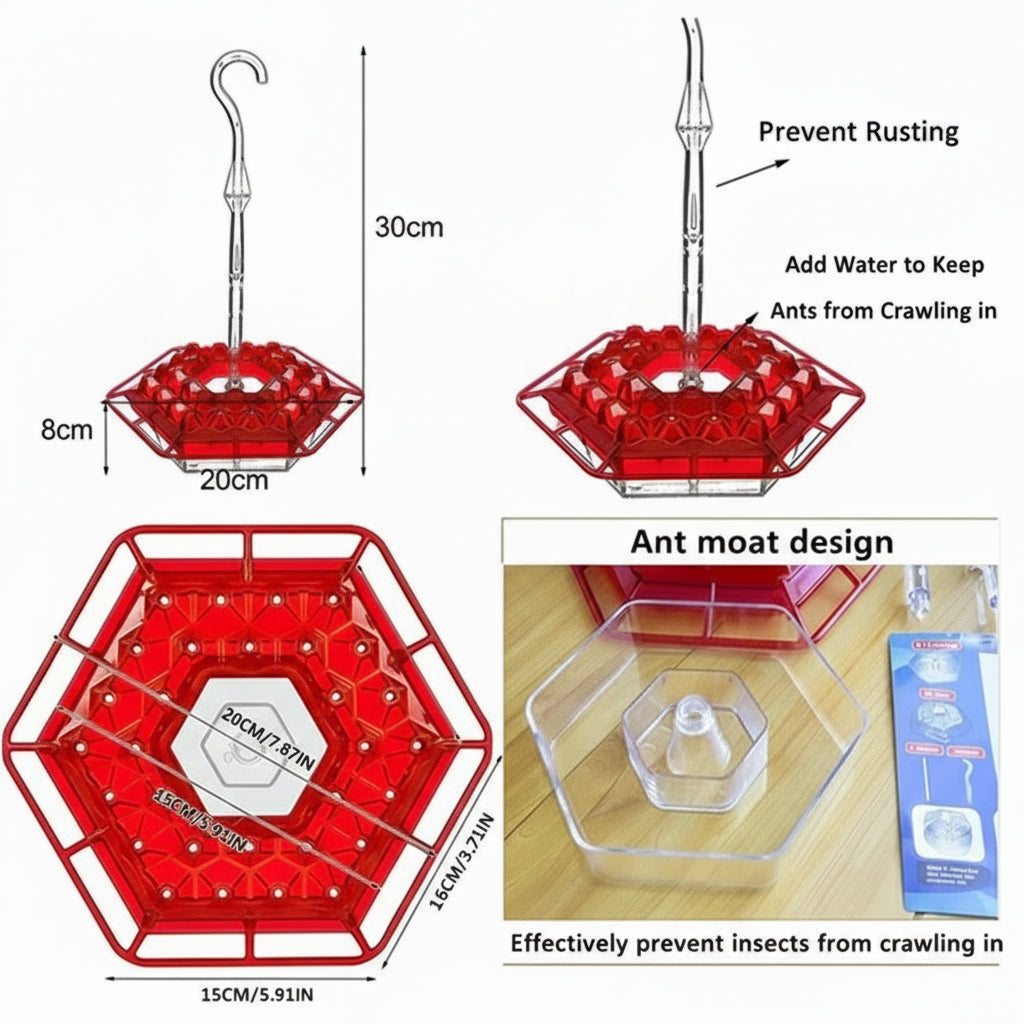 Ant-Proof Hanging Hummingbird Feeder with Moat - Durable, Easy to Clean, Ideal for Attracting Hummingbirds