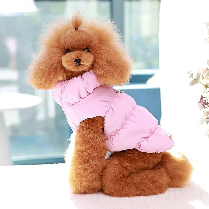 Winter Jacket for Dogs and Cats with Built-in Leash Ring - Warm, Stylish, and Functional Pet Outerwear