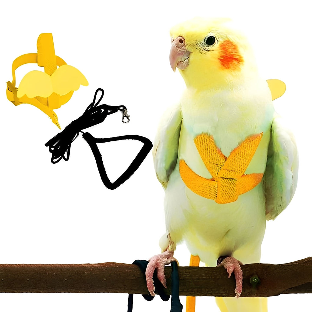 Adjustable Bird Harness and Leash Set for Parrots - Safe, Comfortable, and Easy to Use