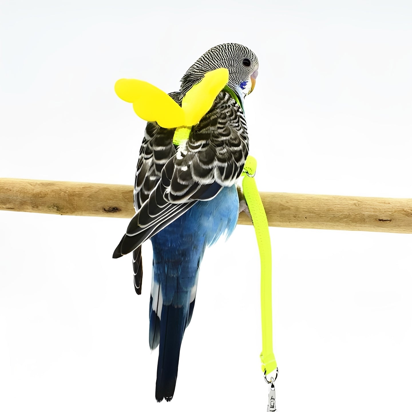 Adjustable Bird Harness and Leash Set for Parrots - Safe, Comfortable, and Easy to Use