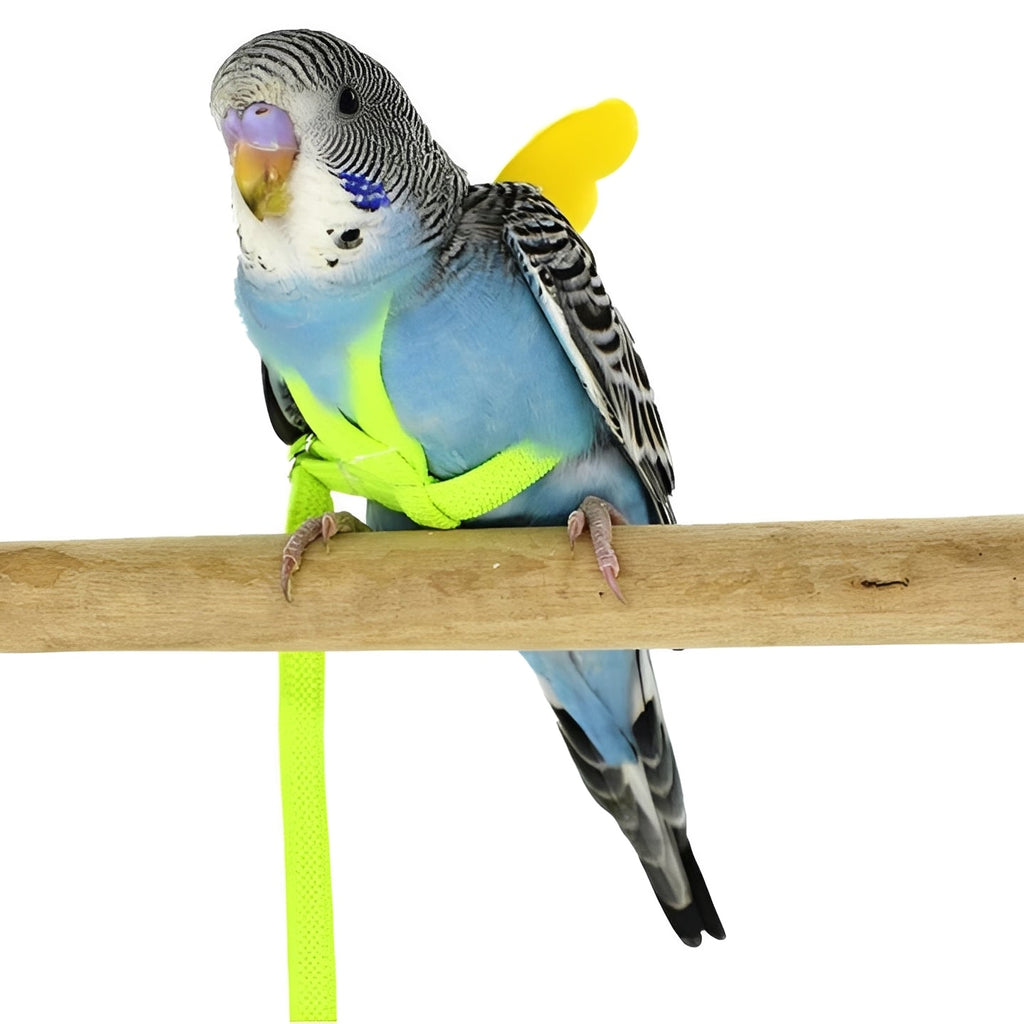 Adjustable Bird Harness and Leash Set for Parrots - Safe, Comfortable, and Easy to Use