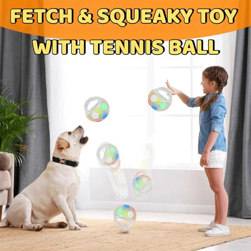 Durable Rubber Football Dog Toy with Unique Bottle Design - Perfect for Heavy Chewers