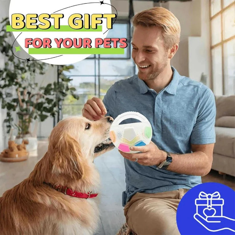 Durable Rubber Football Dog Toy with Unique Bottle Design - Perfect for Heavy Chewers