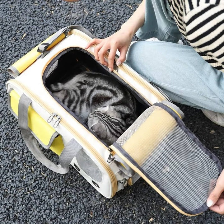 Premium Pet Carrier for Cats & Small Dogs - Airline Approved Travel Bag with Comfortable Design