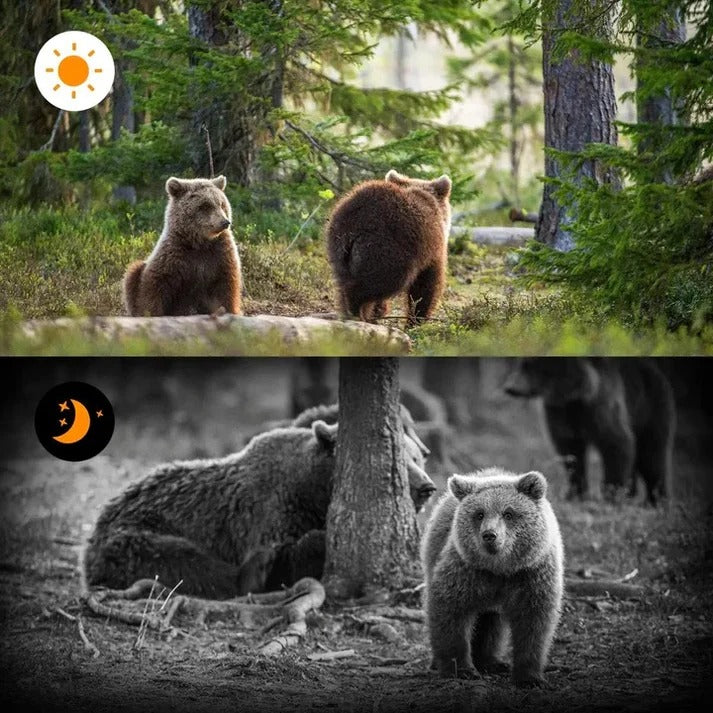 High-Performance Trail Camera with PIR Motion Sensor & Infrared Night Vision – Perfect for Wildlife Monitoring