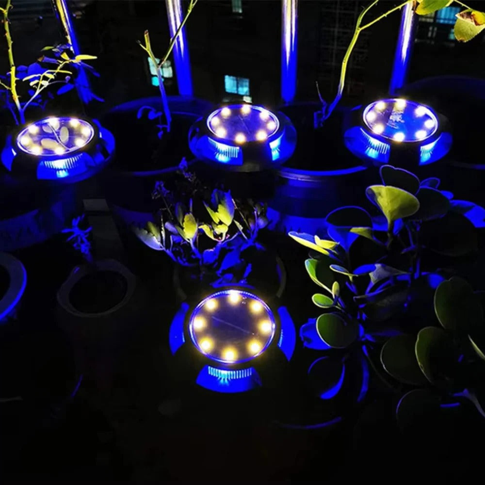 Stylish Outdoor Solar LED Ground Lights - Disk Design for Garden Pathways & Patios