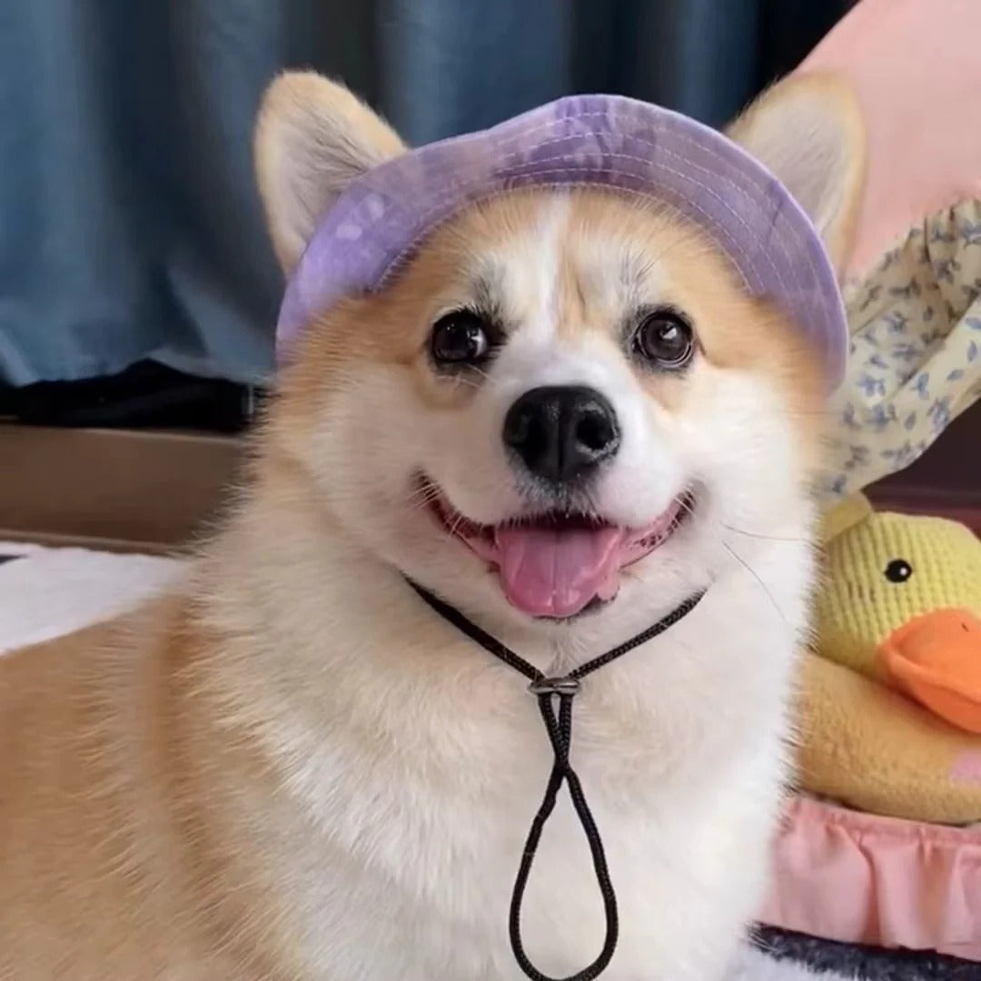Adjustable Pet Sun Hat with UV Protection - Perfect for Dogs & Cats