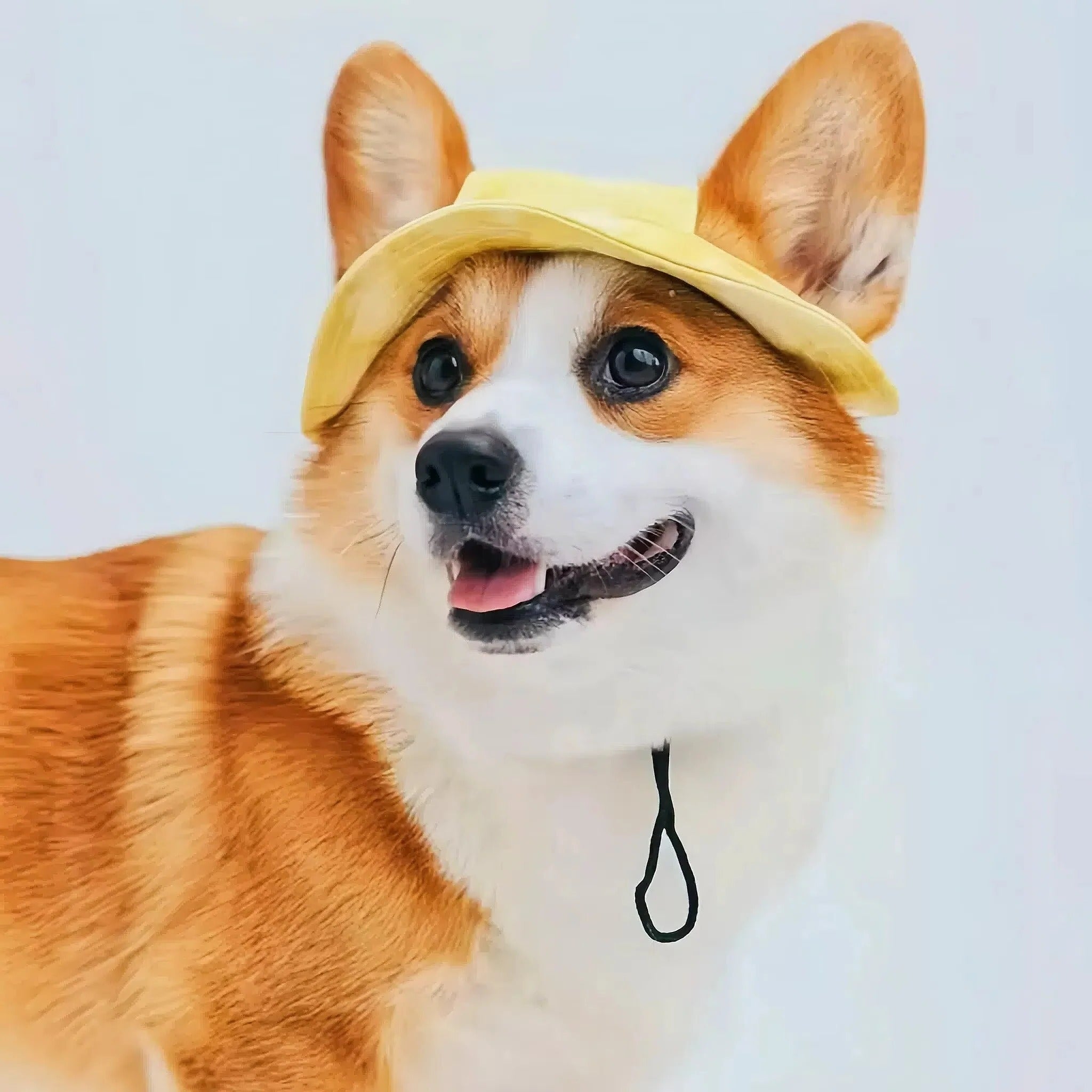 Adjustable Pet Sun Hat with UV Protection - Perfect for Dogs & Cats